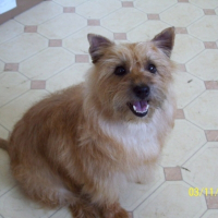 Photo de profil de Libby aka grasdal glamour queen of malonowa