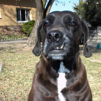 Photo de profil de Jessie