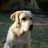 Photo de Murphy