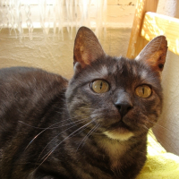 Photo de profil de Poupy