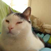 Photo de profil de Lucien
