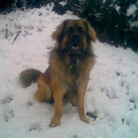 Photo de profil de Angie