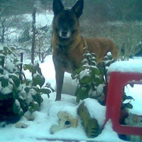 Photo de profil de Sapho