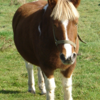 Photo de profil de Eclair