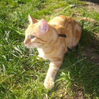 Photo de profil de Doolin