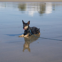 Photo de profil de Missy