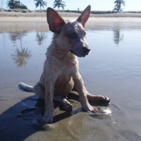 Photo de profil de Russell