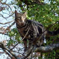 Photo de profil de Despé