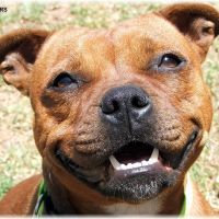 Photo de profil de Kimba