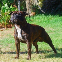 Photo de profil de Ody