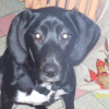 Photo de Salsa
