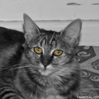 Photo de profil de Little girl