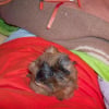 Photo de Ithy