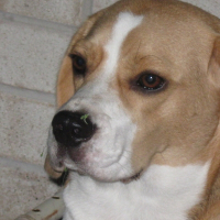 Photo de profil de Jessie