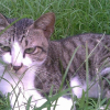 Photo de Ming-ming