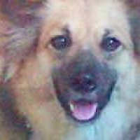 Photo de profil de Kisses
