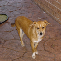 Photo de profil de Bruza