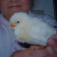 Photo de profil de Più più