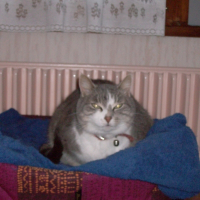 Photo de profil de Bianca