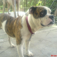 Photo de profil de Blammy