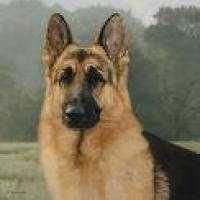 Photo de profil de Pepper