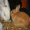 Photo de Tadame et ses enfants 