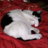 Photo de Prudence