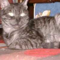 Photo de profil de Leïa
