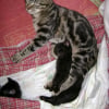 Photo de Dora