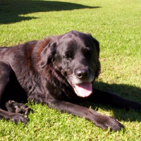 Photo de profil de Jett