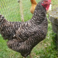 Photo de profil de Mélanie
