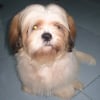Photo de Gabby