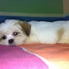 Photo de Chelsea