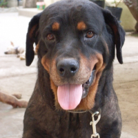 Photo de profil de Sheila
