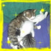 Photo de Minette