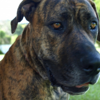 Photo de profil de Elsinore
