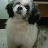 Photo de profil de Mojo