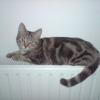Photo de Fiona