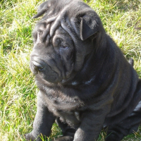 Photo de profil de Paco