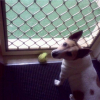 Photo de Ottis