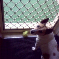 Photo de profil de Ottis