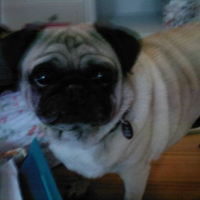 Photo de profil de Tullulah