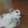 Photo de Monty
