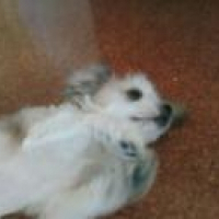 Photo de profil de Monty