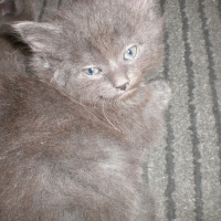 Photo de profil de Eliott