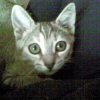 Photo de Zoé