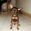 Photo de Sookie