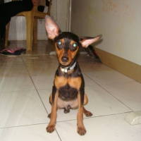 Photo de profil de Sookie