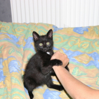 Photo de profil de Kiwi