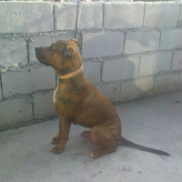 Photo de profil de Boo